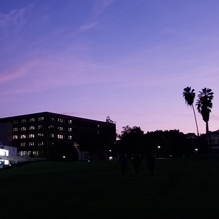 Two buildings in the foreground with a blusish purple sky, and 2 pam trees to the right of the buildings.